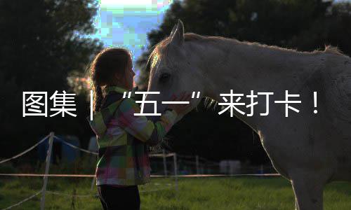 系滨来图集五一湾区治愈光等你解锁→打卡大海风