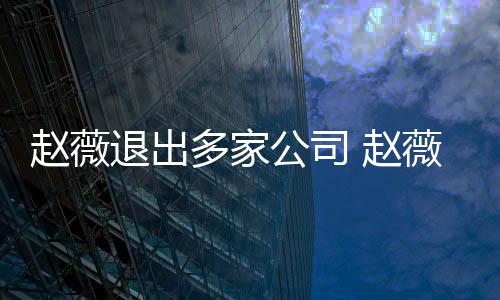 消息退出薇事赵薇 赵怎么最新公司件是多家回事