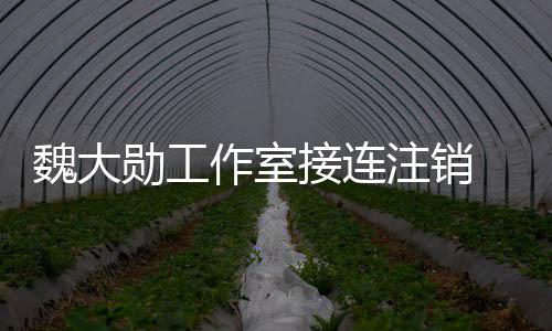 面勋工魏大围涉营范作室注销个方接连 经及多