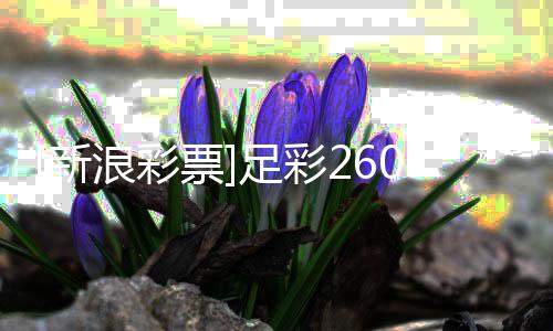 布新浪彩拉加盈亏足彩指数谨慎票9期防平